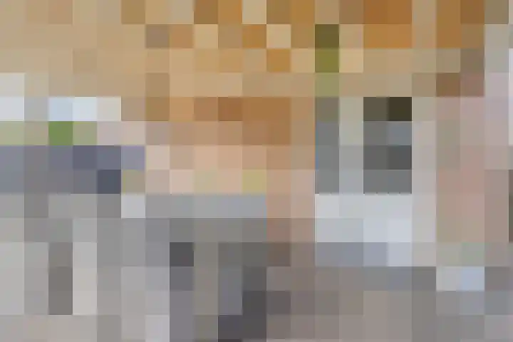 Zeggeven 20 Enschede thumbnail 35