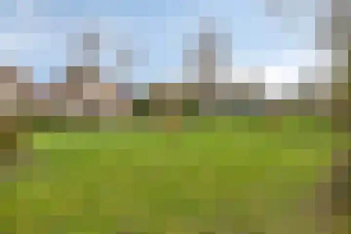 Zeggeven 20 Enschede thumbnail 45