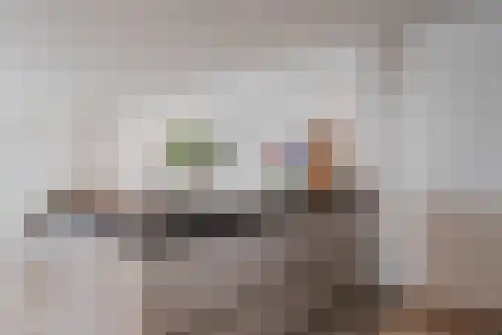 Zeglis 4 Alkmaar thumbnail 11
