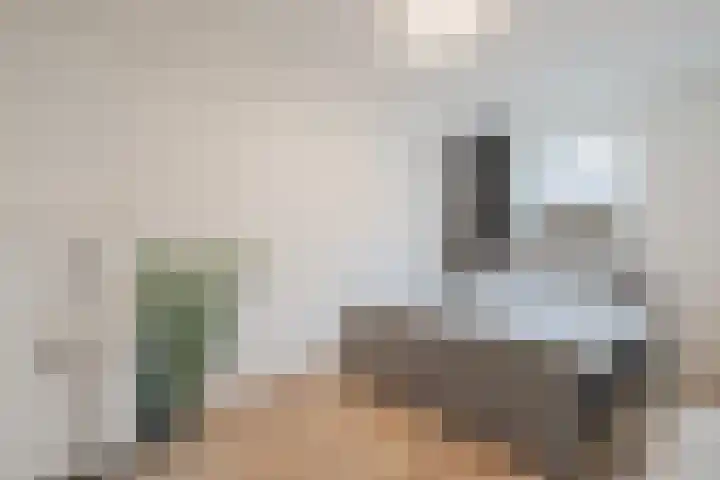 Zeglis 4 Alkmaar thumbnail 14
