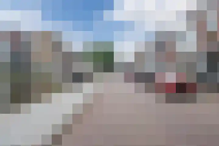 Zeglis 4 Alkmaar thumbnail 23