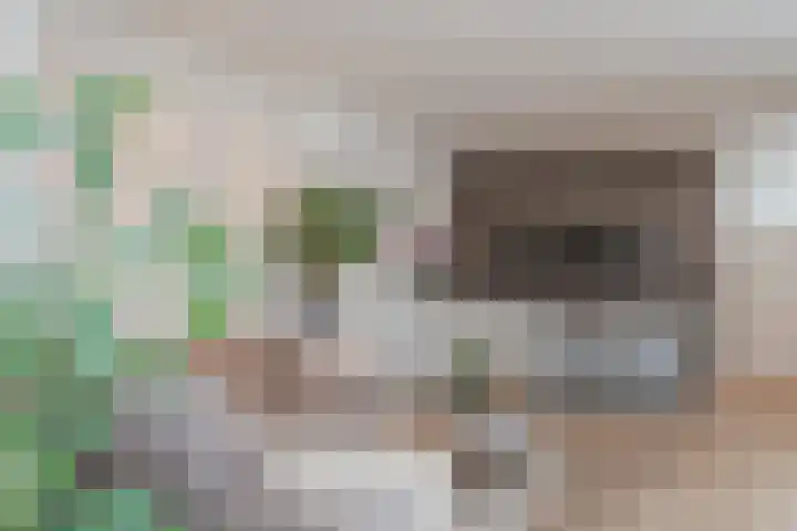 Zeglis 4 Alkmaar thumbnail 6