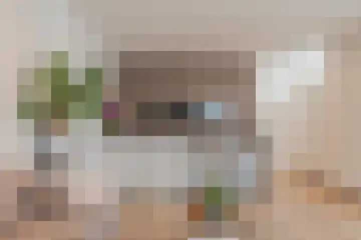 Zeglis 4 Alkmaar thumbnail 8