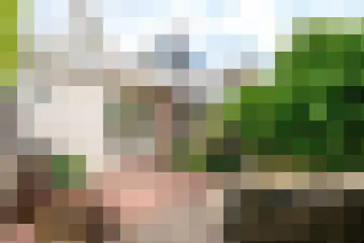 Zeglis 67 Alkmaar thumbnail 37