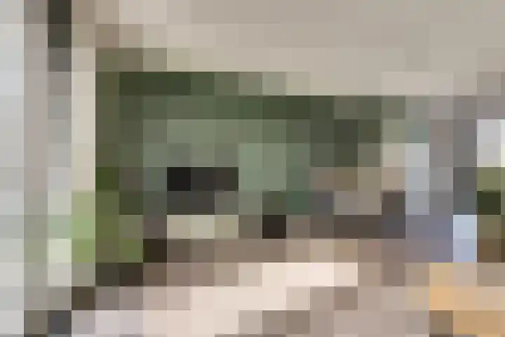 Zeilenmakersgilde 32 Dronten thumbnail 11