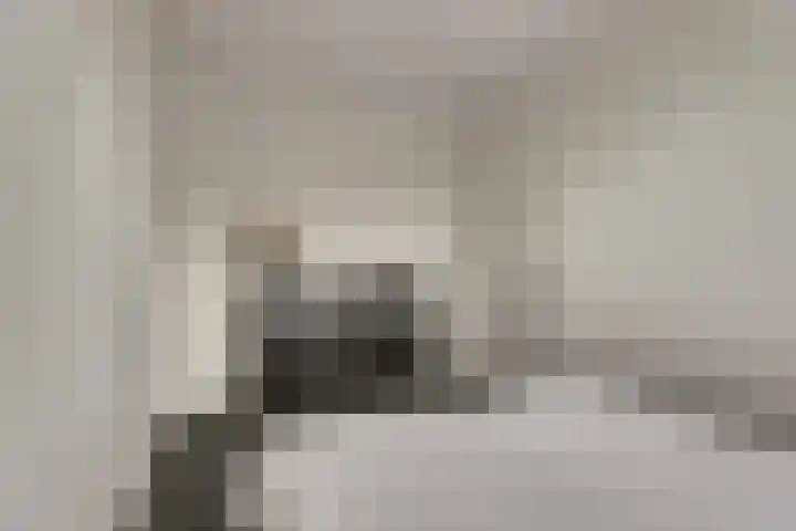 Zeilenmakersgilde 32 Dronten thumbnail 22