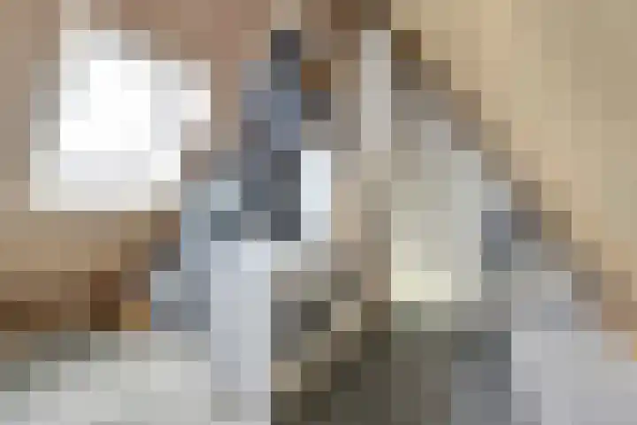 Zeilenmakersgilde 32 Dronten thumbnail 27