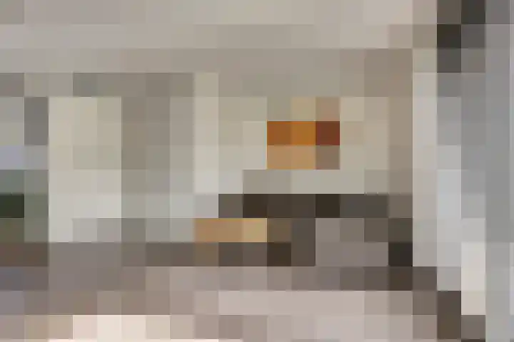 Zeilenmakersgilde 32 Dronten thumbnail 7