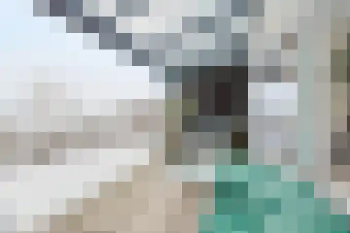 Zeilenmakersgilde 4 Dronten thumbnail 15