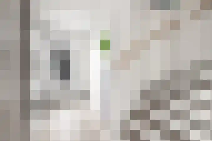 Zeilenmakersgilde 4 Dronten thumbnail 5