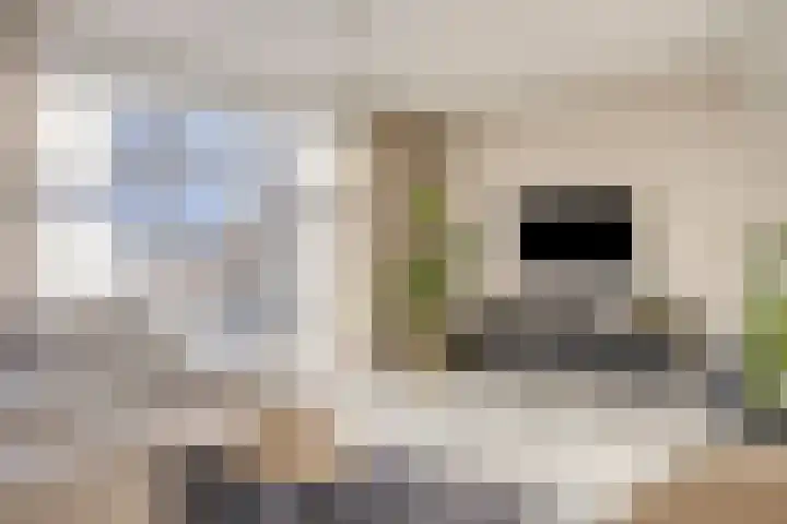 Zeilenmakersgilde 46 Dronten thumbnail 14