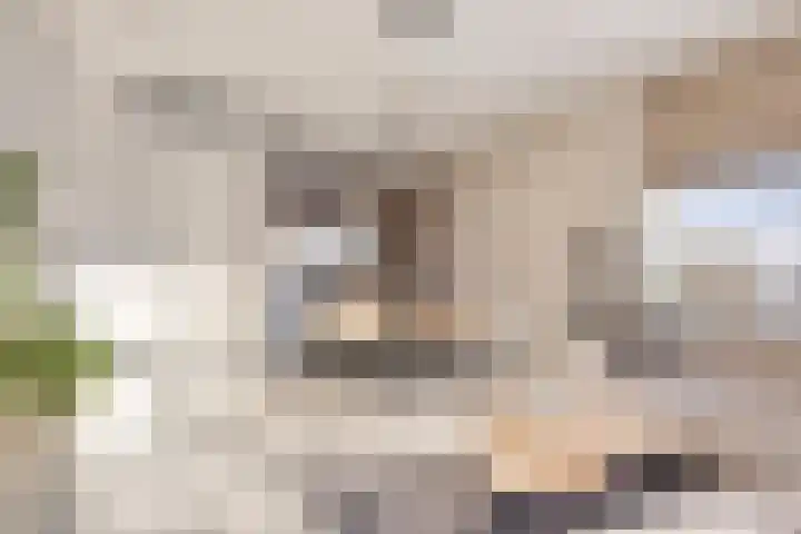 Zeilenmakersgilde 46 Dronten thumbnail 16