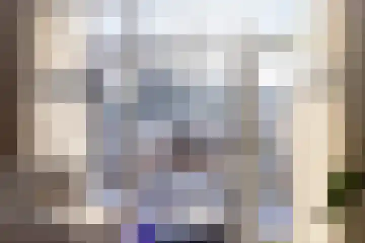 Zeilenmakersgilde 46 Dronten thumbnail 17