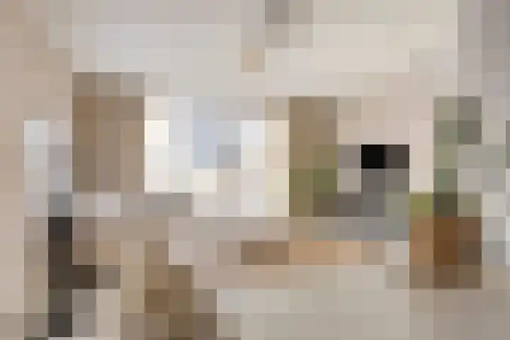Zeilenmakersgilde 46 Dronten thumbnail 22