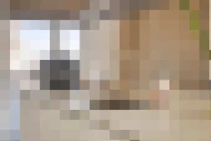 Zeilenmakersgilde 46 Dronten thumbnail 23