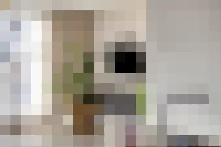 Zeilenmakersgilde 46 Dronten thumbnail 24