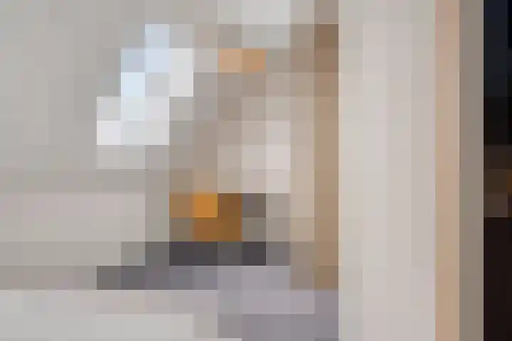 Zeilenmakersgilde 46 Dronten thumbnail 28