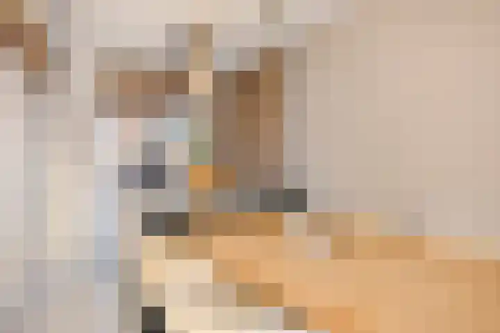 Zeilenmakersgilde 46 Dronten foto 3