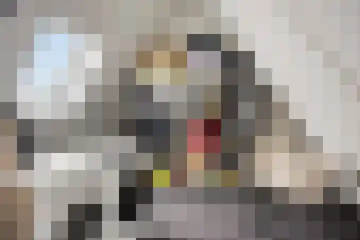 Zeilenmakersgilde 46 Dronten thumbnail 34