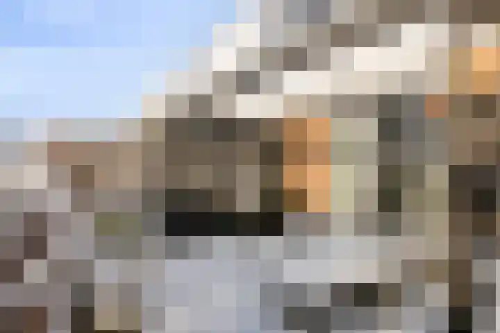 Zeilenmakersgilde 46 Dronten thumbnail 36