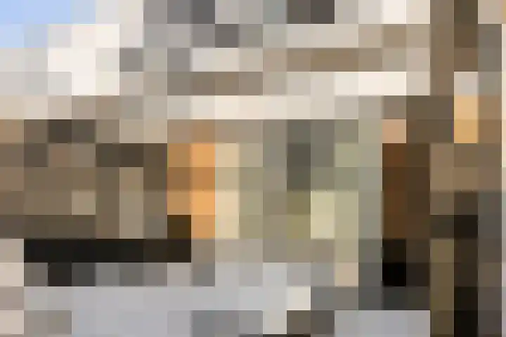 Zeilenmakersgilde 46 Dronten thumbnail 37
