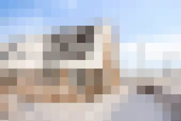 Zeilenmakersgilde 46 Dronten thumbnail 42