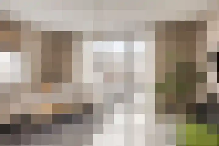 Zeilenmakersgilde 46 Dronten thumbnail 8
