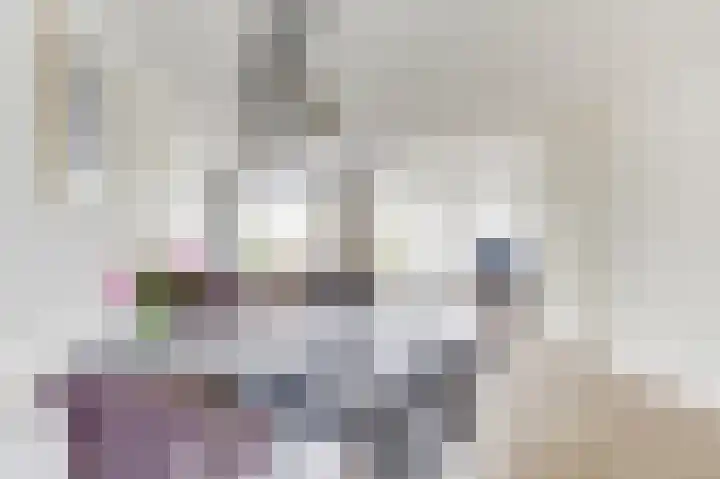Zeilenmakersgilde 53 Dronten thumbnail 11