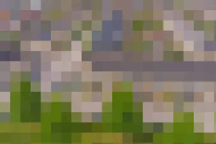 Zeilenmakersgilde 53 Dronten thumbnail 27