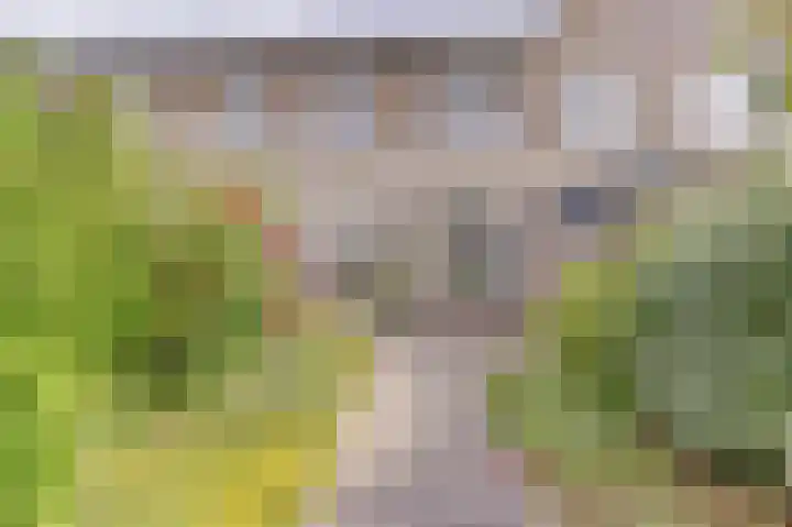 Zeilenmakersgilde 53 Dronten thumbnail 29