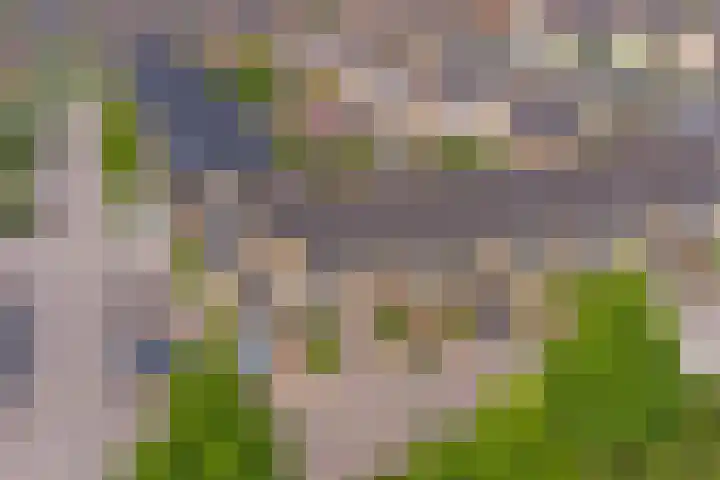 Zeilenmakersgilde 53 Dronten thumbnail 5