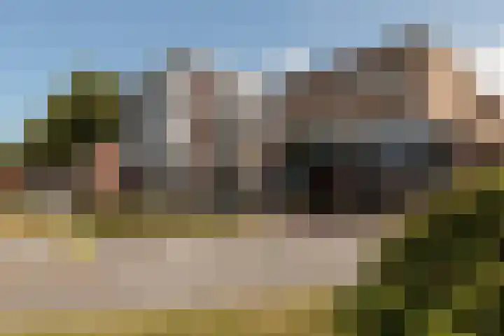 Zeilenmakersgilde 85 Dronten