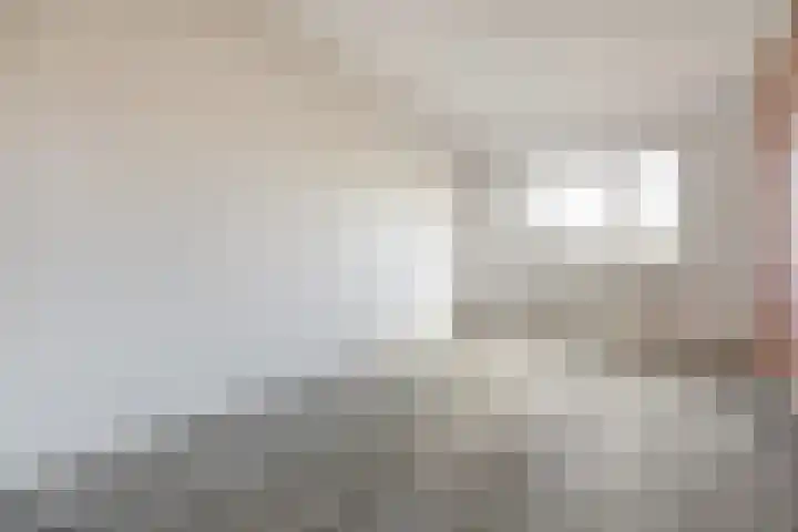 Zeis 12 Brielle thumbnail 10
