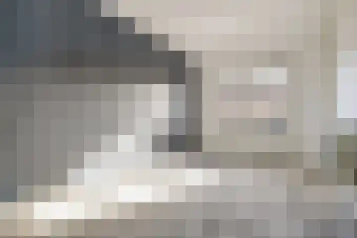 Zeis 12 Brielle thumbnail 12