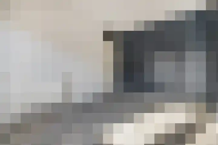 Zeis 12 Brielle thumbnail 13