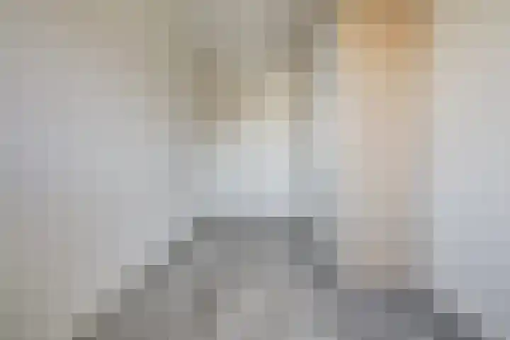Zeis 12 Brielle thumbnail 16