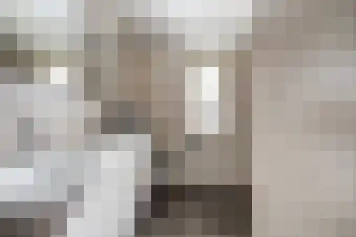 Zeis 12 Brielle thumbnail 17