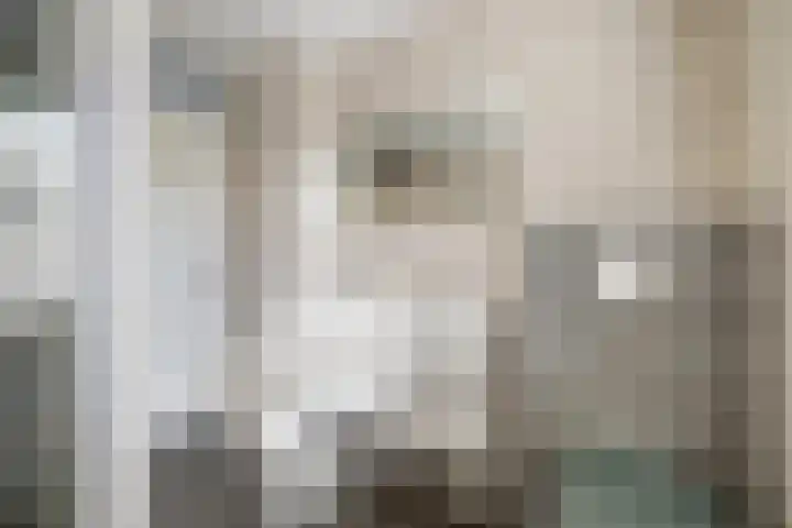 Zeis 12 Brielle thumbnail 18