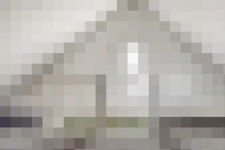 Zeis 12 Brielle thumbnail 20