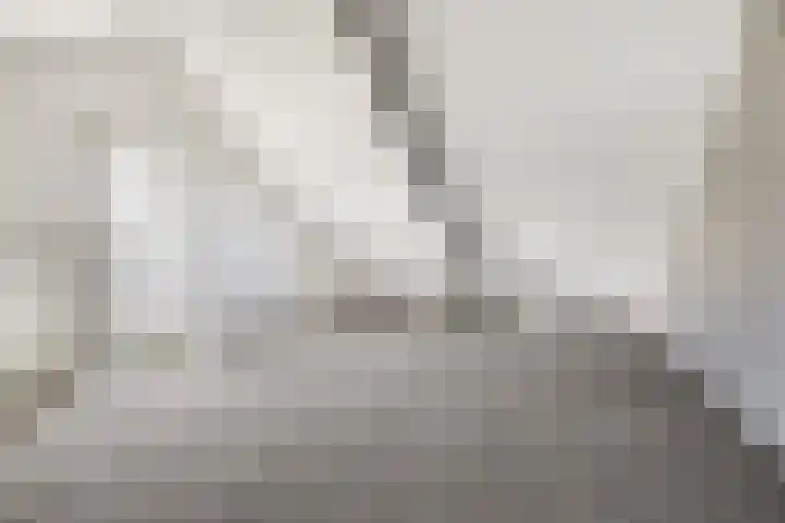 Zeis 12 Brielle thumbnail 21
