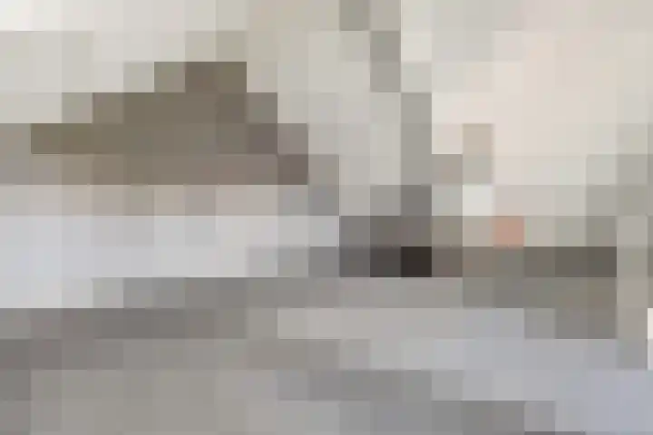 Zeis 12 Brielle thumbnail 22