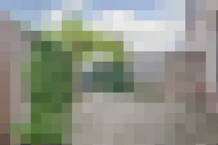 Zeis 12 Brielle thumbnail 23