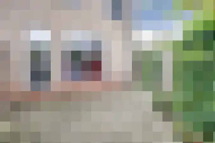 Zeis 12 Brielle thumbnail 24