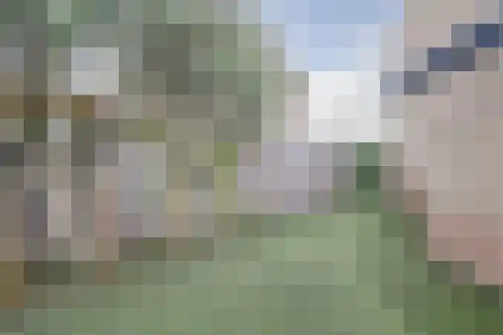 Zeis 12 Brielle thumbnail 26