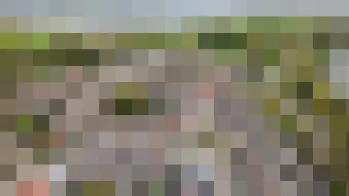 Zeis 12 Brielle thumbnail 29