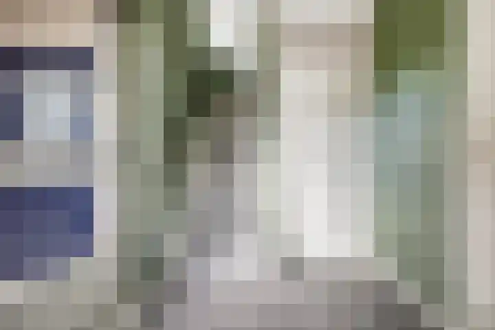 Zeis 12 Brielle thumbnail 4
