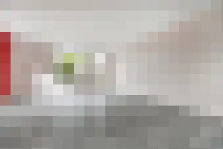 Zeis 12 Brielle thumbnail 5
