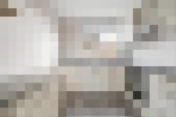 Zeis 12 Brielle thumbnail 7