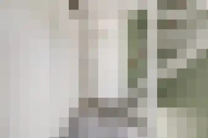 Zeis 12 Brielle thumbnail 9