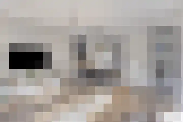 Zeis 13 Brielle thumbnail 10